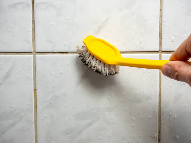 Best Bathroom Mold Remediation in Howe, TX