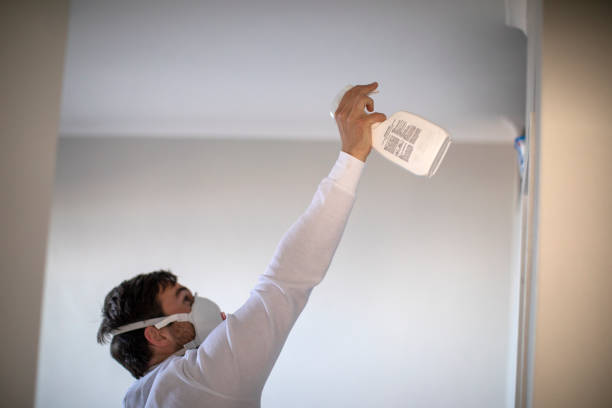 Best Residential Mold Remediation in Howe, TX