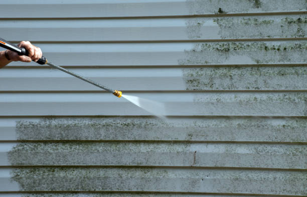 Professional Mold Remediation in Howe, TX