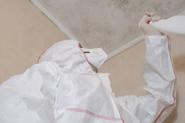 Best Kitchen Mold Remediation in Howe, TX